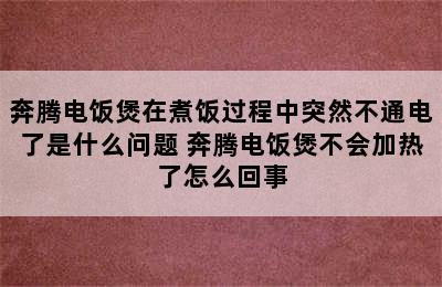 奔腾电饭煲在煮饭过程中突然不通电了是什么问题 奔腾电饭煲不会加热了怎么回事